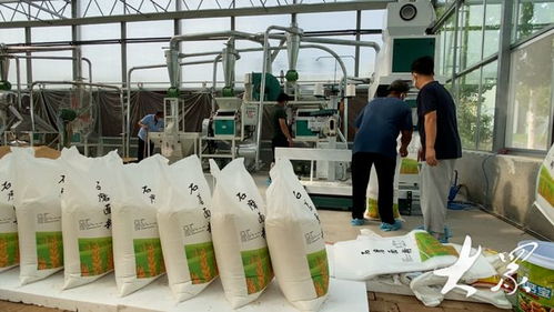 跨村聯(lián)建拓富路,5個村支書撐起石磨面粉廠