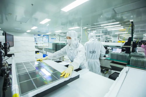 武漢如何當好 群主