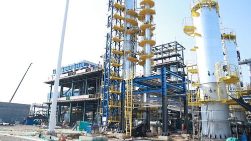 濱城區 聚焦重點項目建設 推動全區經濟高質量發展